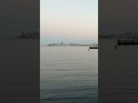 A moment of Zen #zen #peace #meditation #calm #sanfrancisco