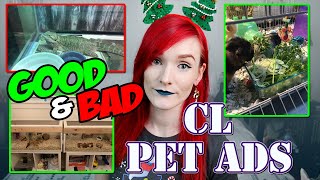 Christmas Season! | Craigslist Pet Ads | Munchie's Place