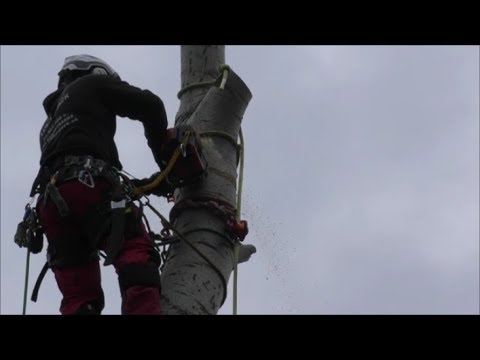 FŰRÉSZ MÁNIA: EGY PROFI VÉLEMÉNYE AZ OLASZ PROFIRÓL