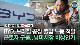 [위클리 월드] BYD, 브라질 공장 불법 노동 적발 근로자 구출..남미시장 비상인가