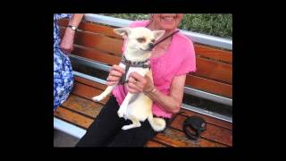 “Changing the way you see ” | Josephine Hartfiel | TEDxTottenham