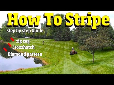 How to stripe a lawn-Like a BOSS!  Basic to advanced techniques 4K VIDEO