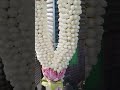 Lavender Garlands Channel Tamil Nadu Chennai Koyambedu Flower Market Call 7299171355