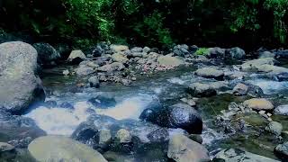 Sleep Better Tonight with SOOTHING Mountain Stream Sounds