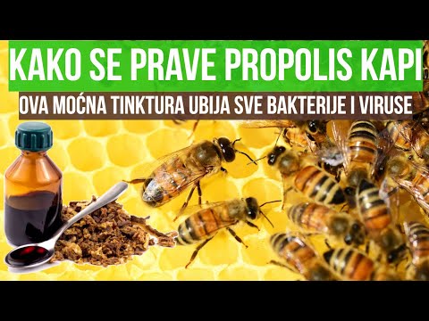 Bűvész a prosztatitis kezelésére