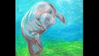 Wethington: Manatee Song performed by the Meherrin Chamber Orchestra, James M. Guthrie, conductor