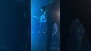 In Plain Sight (Live) by Dead Letter Circus