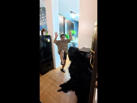 PATIKIM SA HALLOWEEN