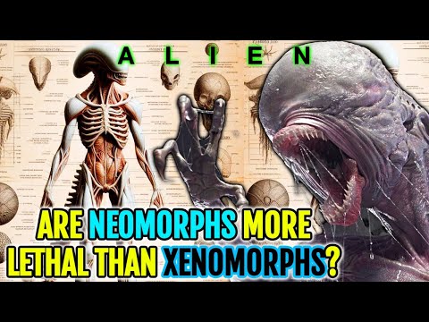 Neomorph Anatomy Explored - Are They More Feral Than Normal Xenomorphs? What Made Them Like This?