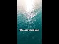 Sea And Sir C V Raman Shorts