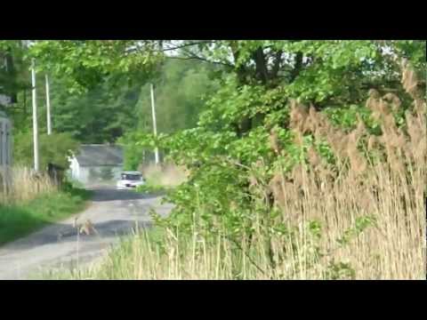 10 RAJD MAZOWIECKI HOPA Szeja by dzyr.pl 12 05 2012