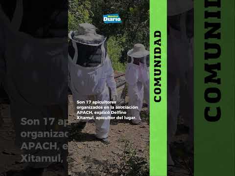 TOURS SOBRE LA PRODUCCIÓN DE MIEL 🍯🐝