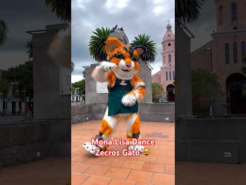 Mona lisa dance Kpop 😻 gato Otavalo Ecuador 🇪🇨 #otavalo #ramenotavalo #gato #cat #kawaii #risa