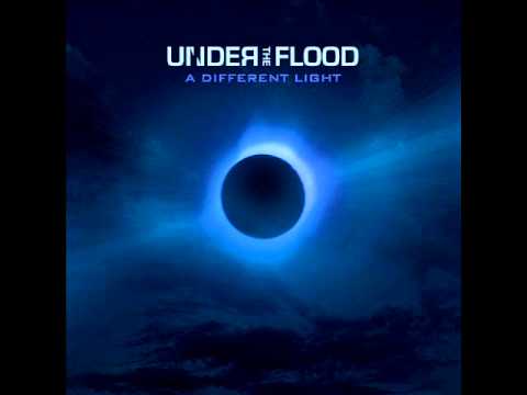 Under the Flood Fly