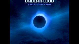 Under the Flood Fly