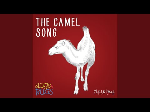 The Camel Song