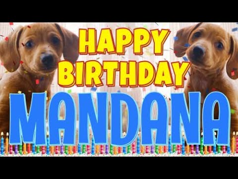 Happy Birthday Mandana! ( Funny Talking Dogs ) What Is Free On My Birthday