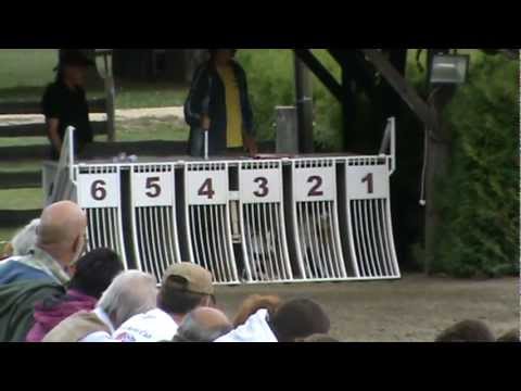 European Derby Plate 3rd semifinal 2012 - Jaxx On Fantasy