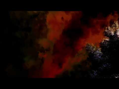 Max Richter: The Blue Notebooks (full Album)