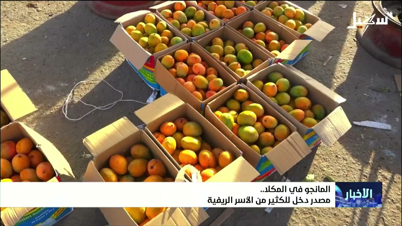 نشرة الأخبار الرابعة مساءً 21-6-2026