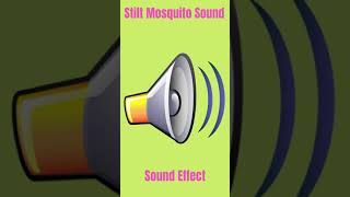 Download lagu Stilt Mosquito Sound - Sound Effect mp3 Download lagu Stilt Mosquito Sound - Sound Effect mp3
