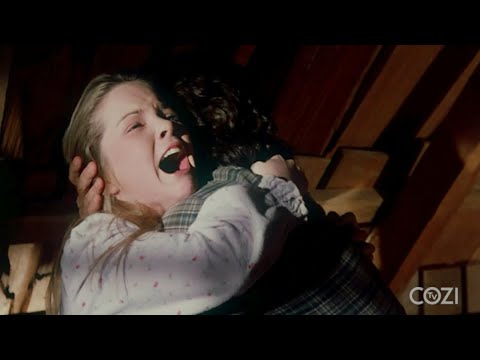 Cry, Cry, Cry: 12 Times 'Little House on the Prairie' Got You | COZI Dozen