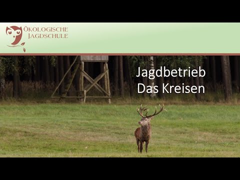 Lernen für die Jägerprüfung - Das Kreisen in der Neuen