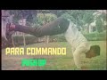 Best Push Up WhatsApp Status Para Commando Push Up Hard Push Up