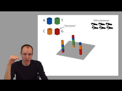 ADS1: Sequencing by Synthesis