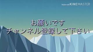 チャンネル登録して下さい！！
