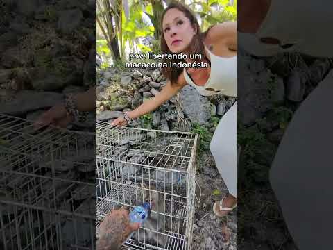 Libertando um macaco na Indonésia.🐒😭 #nathaliavalente