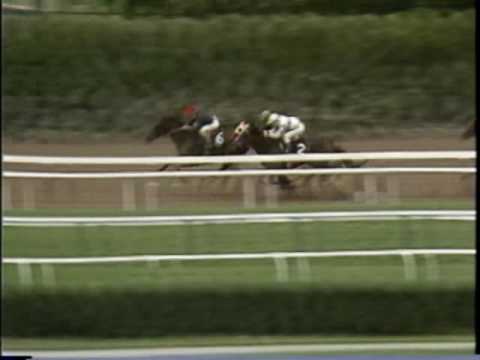 Personal Ensign - Maiden Special Weight