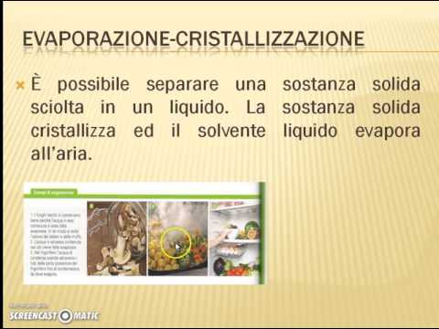 Il helminths che vive in polmoni alla gente Polsi di vermi e minuses