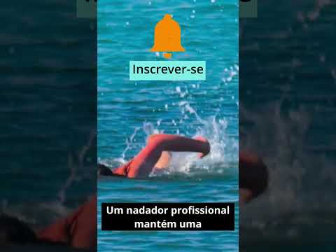 E SE Alguém Nadasse do Brasil até a África? Quanto tempo levaria? Quantas braçadas daria?🌊😱