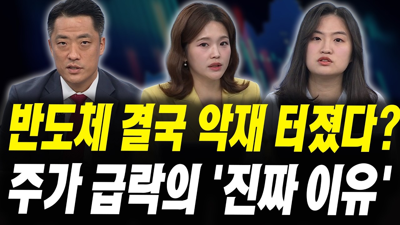 반도체 주가 급락 왜? '진짜 이유' 따로 있다 (황유현 신한투자증권 PB팀장, 이상연 신영증권 연구원)