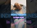 Indigo In Flight SONG | All i want is Touchdown #indigo #indigomusic #aviation #music