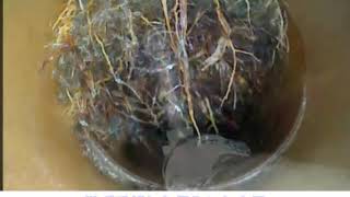 112_排水管内の木根を狙い撃ち　素早く木根を除去【ペアノズル：作業動画】