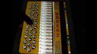 Una Copa De Olvido Acordeon I Pad- Exterminador