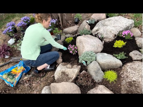 Planting A Rock Garden! | Simply Bloom