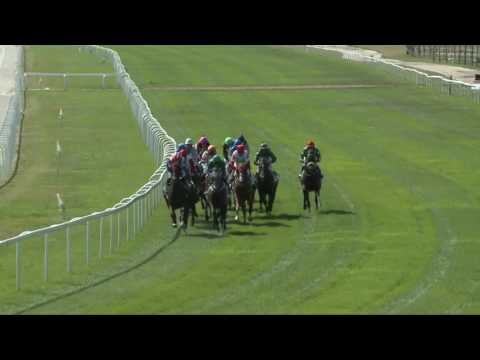 2017.07.02. 4. futam - MAGÁNYOS DÍJ (Elit kat.)