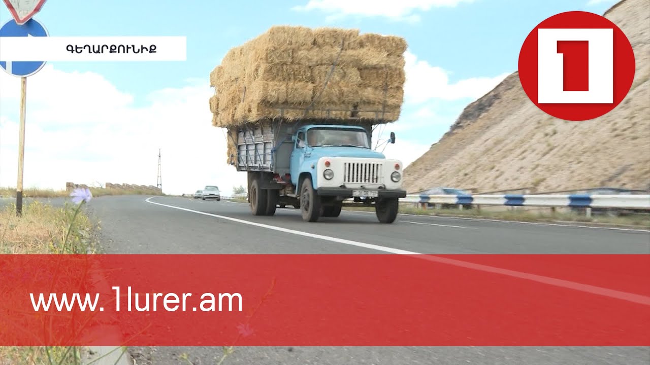 Խոտի պակասի պատճառով գյուղացիները ստիպված են սպանդի ենթարկել անասուններին