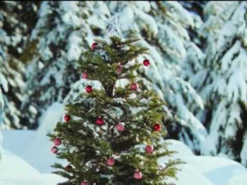 Ntuj No Tuaj Lawm with Lyrics (The Original Song/Classic)