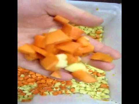 Pacific 550 Dicer doing 5mm &amp; 15mm Vegetables and Strass Strips video thumbnail