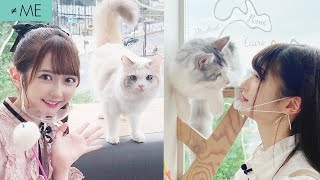 猫カフェ MOCHA 原宿店