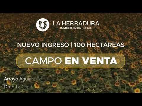 ARROYO AGUIAR 100 Has. agrícola / ganadero / turístico #agricultura