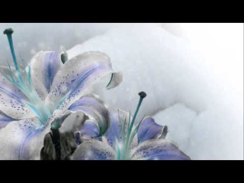 Gåte - Iselilja (Sunn Jellie & The Blizzard Remix)