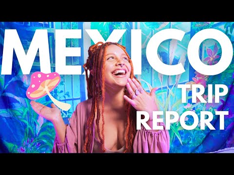 MAGIC MUSHROOMS in Mexico "Hongos Sagrados"