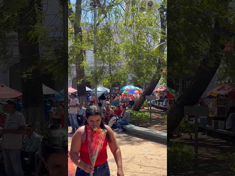 Aquí andamos en El Parque Guzmán de San Miguel