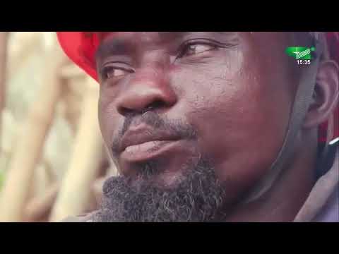 ECHOS DES REGIONS du Vendredi 04/11/2022 - Canal 2 international