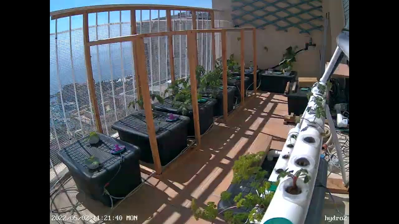 Our Hydroponic Garden in Action